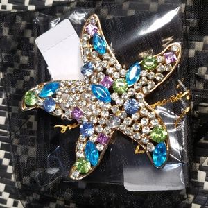Star brooch